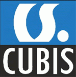 Cubis Solutions GmbH, Essen