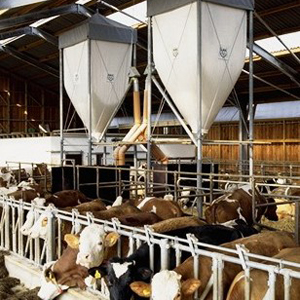 Produkte Robust langlebig wirtscha