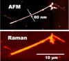 AFM Raman AFM-Raman-System