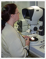 Max-Planck-Institut für Chemie