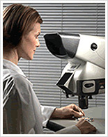 Wiederherstellung von Haaren mit Mantis