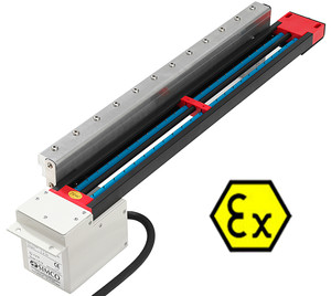 Transvector mit P-SH-N-EX