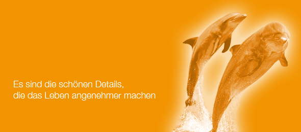 Best in Class durch Erfahru