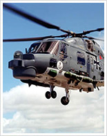 Mit den Augen eines Habichts