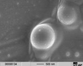 Latices Modellkolloide